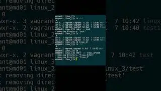 rmdir in 20 sec  #linuxcommandlinetutorial#linuxcommands #programming #linuxterminal  #linuxguides