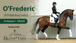 O'Frederic (For Romance I-Fidertanz) - KWPN & Hanoverian Approved Stallion