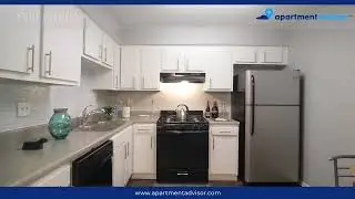 Pet-Friendly 2 Bedroom in Austin TX | The Social Apartment Tour Unit 1033 by ApartmentAdvisor