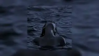 adele - skyfall (slowed)