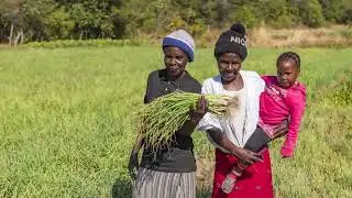 ECONOMIC FORUM_ZIMPLATS_20 SEPTEMBER 2022