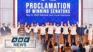A look at the newly-proclaimed PH senators and their legislative plans | ANC