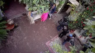 Teefa In Troube
