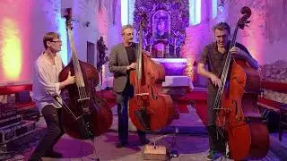 Petr Tich&yacute;, Nenad Vasilič, Mats Eilertsen, Dobr&scaron;sk&aacute; br&aacute;na, 16.8.2025