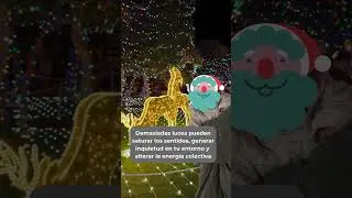 La magia de la Navidad!Opta por una iluminaci&oacute;n c&aacute;lida y moderada. Recuerda: menos es m&aacute;s🎅🏼#fengshui