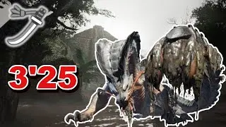 Almudron Speedrun Long Sword Monster Hunter Rise