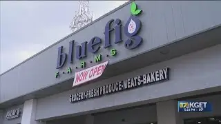 Blue Fig Market specializes in hard-to-get Middle East foods