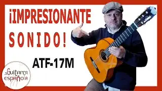 ¡BRUTAL! Así suena la Antonio de Toledo 17M 🔥 (La guitarra FLAMENCA que sorprende)