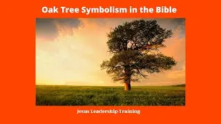 Oak Tree Symbolism in the Bible