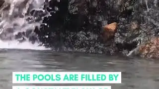 These heavenly hot springs are hidden within a New Mexico forest
