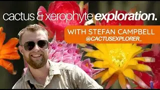 Cactus & Xerophyte Explorations in Latin America w/ Naturalist and Env. Consultant, Stefan Campbell
