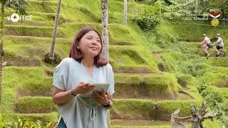 Ready to Start Your Business in Bali?