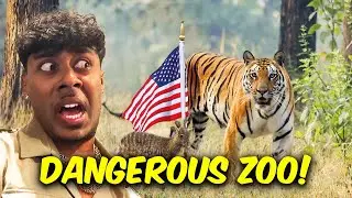 I WENT TO AN AMERICAN ZOO TO SEE WHAT ITS REALLY LIKE