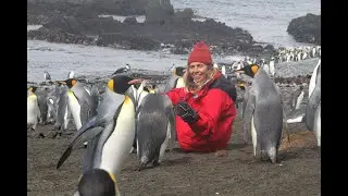 Antarctica Travel adventure: Wildlife and see the lives of the first explorers to Antarctica