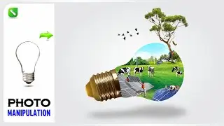 Land Manipulation | Light Bulb Manipulation