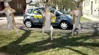 Takso 24 uus reklaam