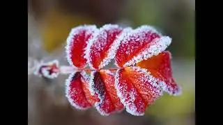 Холодная Красота ❄️relaxsing
