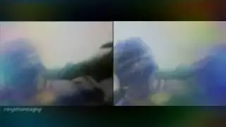 Power Rangers  Wild  Force  V s Super Sentai GaoRanger