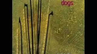 Old Blind Dogs -- Pills of White Mercury