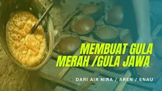 Membuat Gula Merah / Gula Jawa ala Kabaena, Sulawesi Tenggara