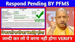 Response Pending By PFMS Up Scholarship 2022 Latest Update Today | Up Scholarship Status 2021-22