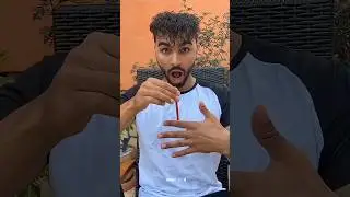 Zootopia 2 zoo music video 🤯 Craze pencil magic 🤯😱 #zootopia2 #viralvideo #dance #music #trending