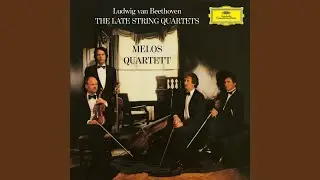 Beethoven: String Quartet No. 14 in C-Sharp Minor, Op. 131: II. Allegro molto vivace
