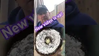 Что такое HASH HOLE?!&hellip; новое видео уже здесь. #антураж #медицинскаяканнабис #пончик #облегчениебо...