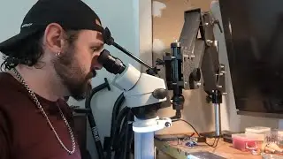 The Absolute BEST Budget Setting Microscope- Quick Review