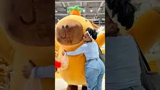 Funday😍😍🤗 #bigteddy #funnyshorts #viralshort #shorts