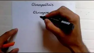 Glucogenolisis