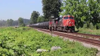 CN Train 356 Led By CN 2311 ES44DC Glen Valley CN Yale Sub