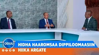 HIDHA HAAROMSAA DIPPILOOMAASIIN HIIKA ARGATE