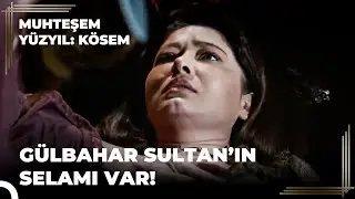 Nasıl Kösem Oldum? 