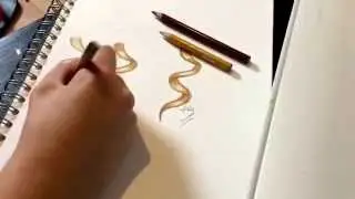 Colouring Blonde Hair Tutorial