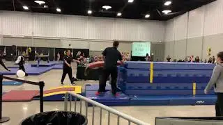 Region 3 Level 7 Regionals Vault #2