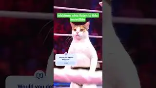 Whiskers is back Baby! #cats #funny #wrestling