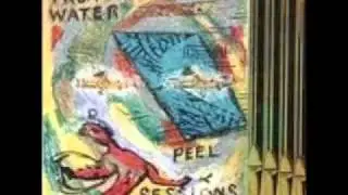 Trumans Water - Long End of a Firearm (Peel Session)