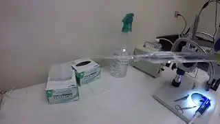 Micro Injection Procedure