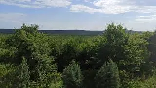 ASMR Rahatlatıcı Orman ve Kuş Sesleri- ASMR Relaxing Forest and Birds Song