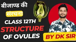 Structure of Ovule😱😱|बीजाण्ड की संरचना|Class12 Biology|UP Board|Types Of Ovule|Sexual Reproduction|