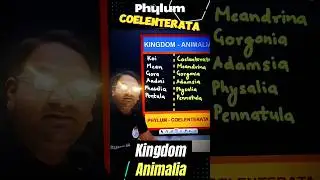 Example Mnemonics Trick ⚡ Biology Zoology 💥 Kingdom Animalia NEET Exam ❤️ Phylum Coelenterata 11th