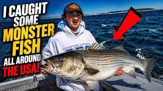 I Caught Some Monster Fish All Around The USA!