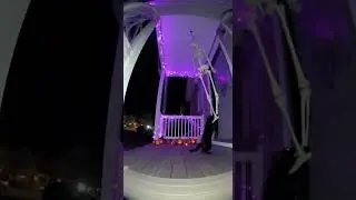 Black Cat Attacks Fake Skeleton Decoration! #Halloween #Cat #Funny #Doorbell #Spooky
