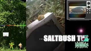 Saltbush TV