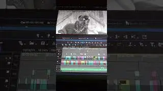 Edius 11 pro ll mixing ll Bhagwatistudi@ #wedding #weddingcinematicfilm #youtuber #mixing