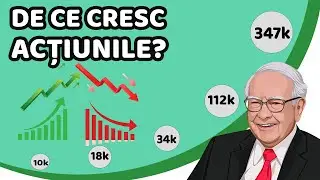 Cum creste sau scade pretul actiunilor si ce e PE RATIO | EP.2 Academia de investitii