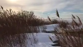 Watermark Winter Bird Migration 01-06-18