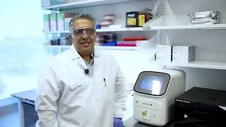 Protein Stability Testing at Sino Biological