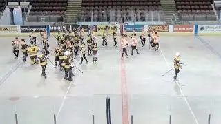 2016 CBHA Nationals B (Canadian Ball Hockey Association) SK Rotten Donkeys vs. Edmonton Killer Bees